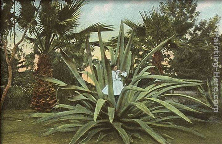 Girl in Century Plant, Maguey, Agave painting - Norman Parkinson Girl in Century Plant, Maguey, Agave art painting